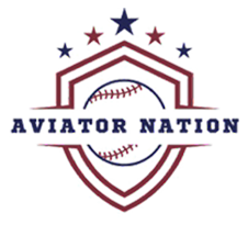 Aviator Nation Swag